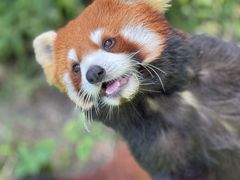 -杭州少年儿童公园