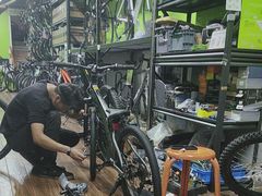 -道路口单车爱瓦士dahon大行