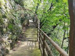 -天女山森林公园