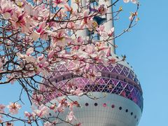 -东方明珠广播电视塔