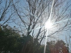 -西安浐灞国家湿地公园