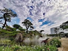 -罗红摄影艺术馆