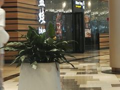 -bluefrog蓝蛙(皇庭广场店)