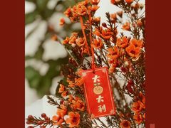 -echoes coffee回响咖啡(红山店)