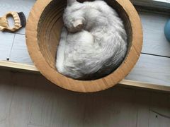 -青春加萌照相馆
