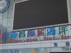 -烟台海昌鲸鲨海洋公园