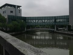 -上海中医药大学附属曙光医院(东部)