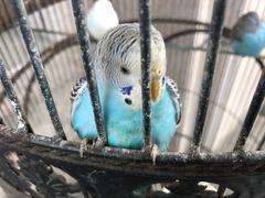 -老味道民宿(栈桥店)