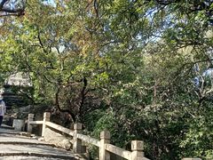 -灵岩山风景区