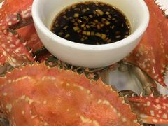 -北塘海鲜·天津菜(大光明桥旗舰店)