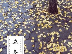 -山东大学(趵突泉校区)