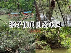 -广西龙虎山风景区