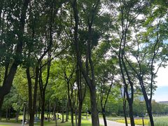 -长广溪湿地公园