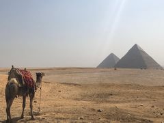 -吉萨金字塔群