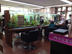 小左美发(南京东路店)-小左美发