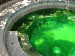 -华侨城阳宗海海景温泉