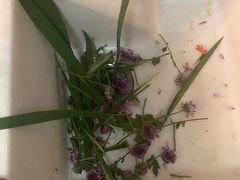 -L.C FLORA花予你(城西银泰城店)