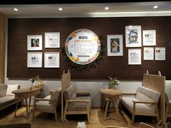 -藏猫猫咖啡主题馆(中央大道店)