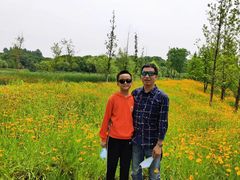 -昆山城市生态森林公园