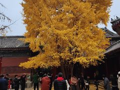 -承恩寺