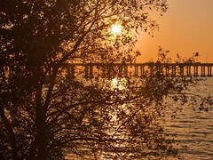 -宝安西湾红树林湿地公园