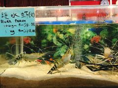 淡水虾-大树下海鲜饭店