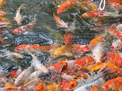 -番禺宾馆丽苑厅