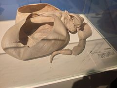 -生命奥秘博物馆