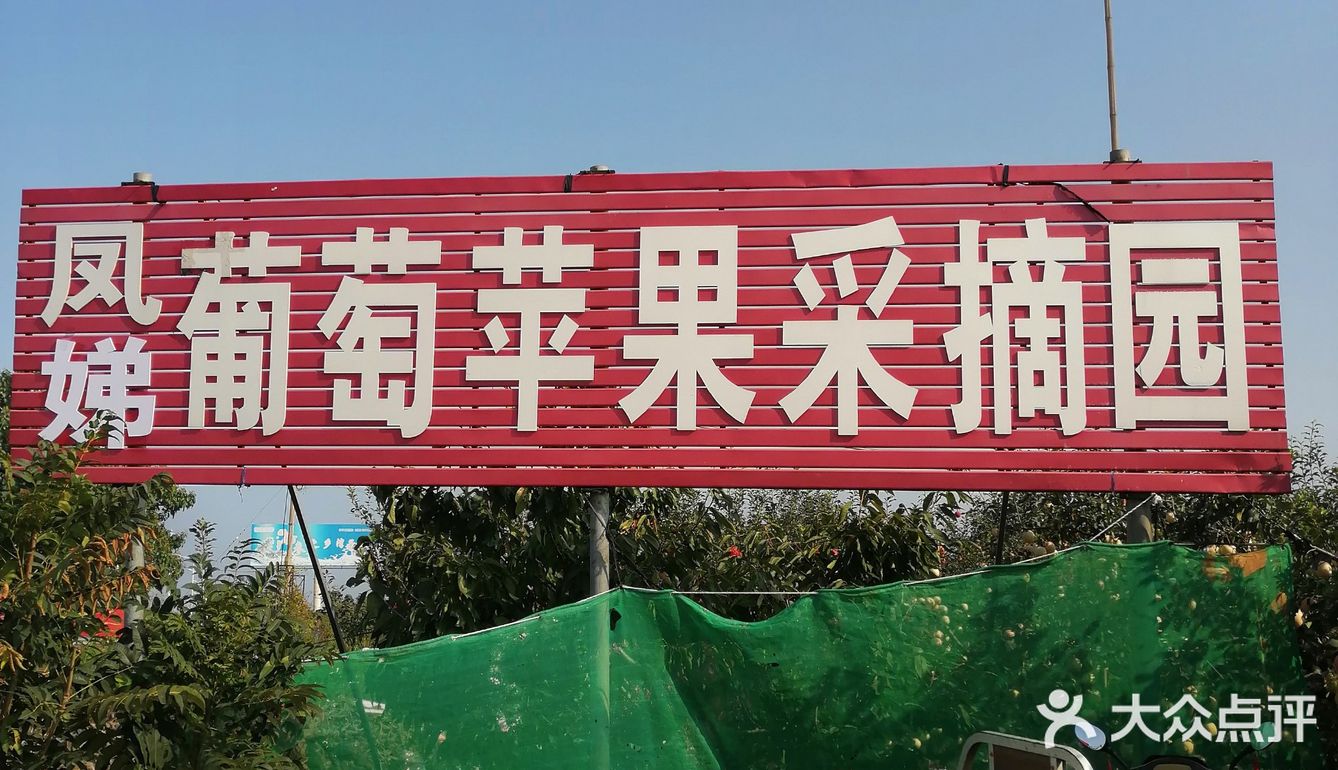 周末来采摘苹果🍎吧