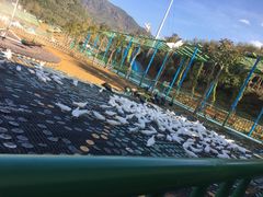 -瓷天下海丝谷