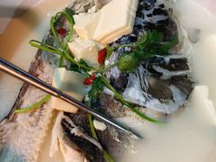 千岛湖浓汤鱼头-全乐鱼馆·淳牌有机鱼直营店
