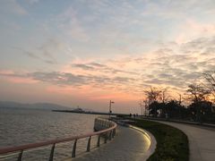 -深圳湾公园(南山区)