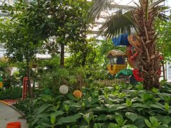 -南宫五洲植物乐园