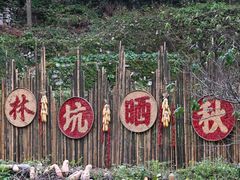 -林坑古村落
