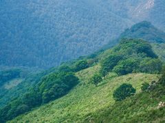 -灵山