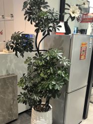 -LJOY丽锦造型·烫发染发