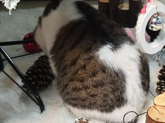 -Manner Coffee(深圳宝能All City店)