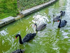 -上海交通大学(闵行校区)