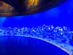 -波塞冬旅游度假区