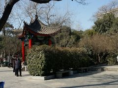 -莲湖公园