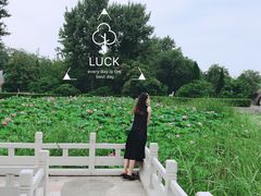 -南戴河国际娱乐中心