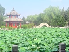 -莲池书院博物馆