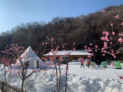 -天女山森林公园