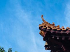 -深圳仙湖植物园