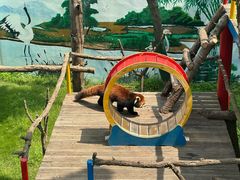 -西霞口神雕山野生动物世界