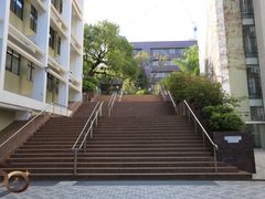 -香港大学