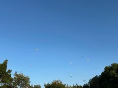 -风云岭森林公园