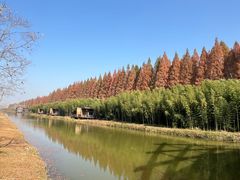 -黄海国家森林公园