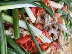 -兄弟·南瓜田鸡