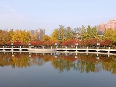 -大连植物园